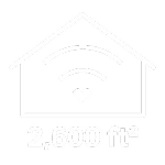6000 ft