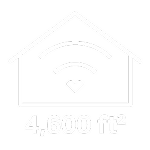 6000 ft