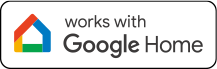 google home