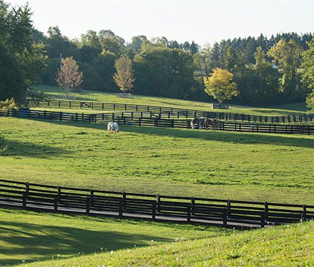 Farm/Ranch Surveillance