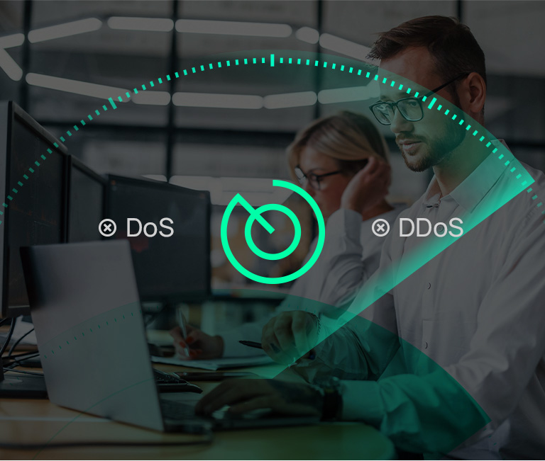 Always-On DoS/DDoS Protection