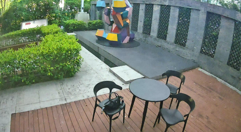 VIGI ColorPro 2.0 Night Vision (Spotlight Off)