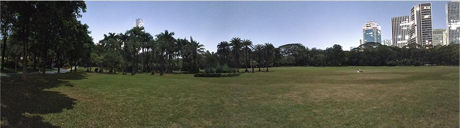 Night Vision in the Park