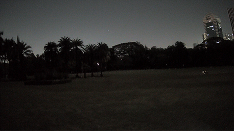 Night Vision off in the Park