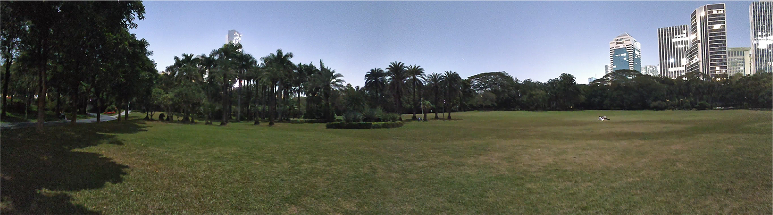 Night Vision in the Park