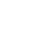 other_btn