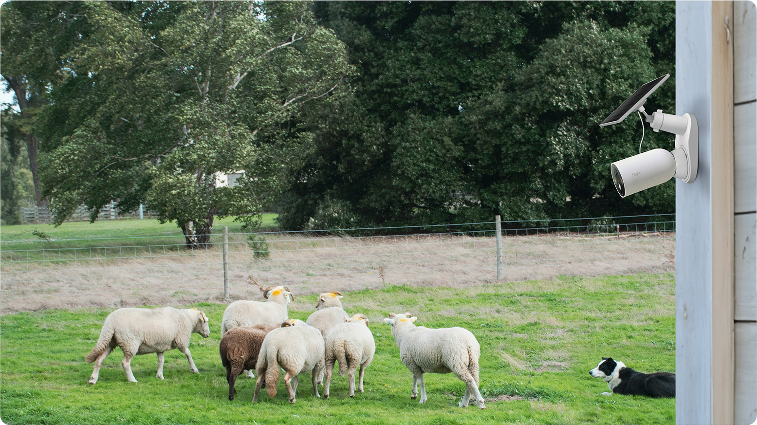 Farm