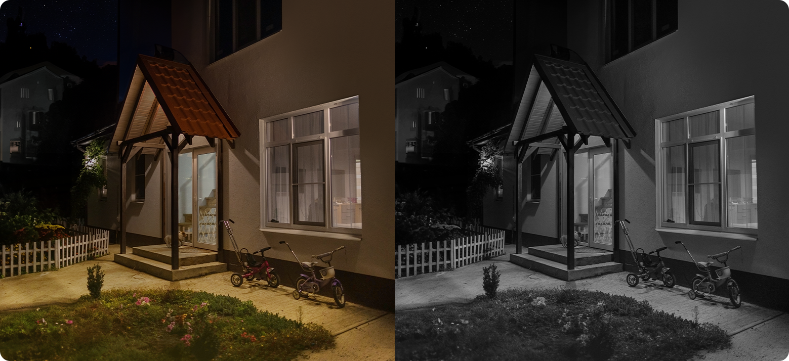 See Everything After Dark