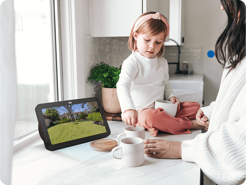 Voice-Activated View