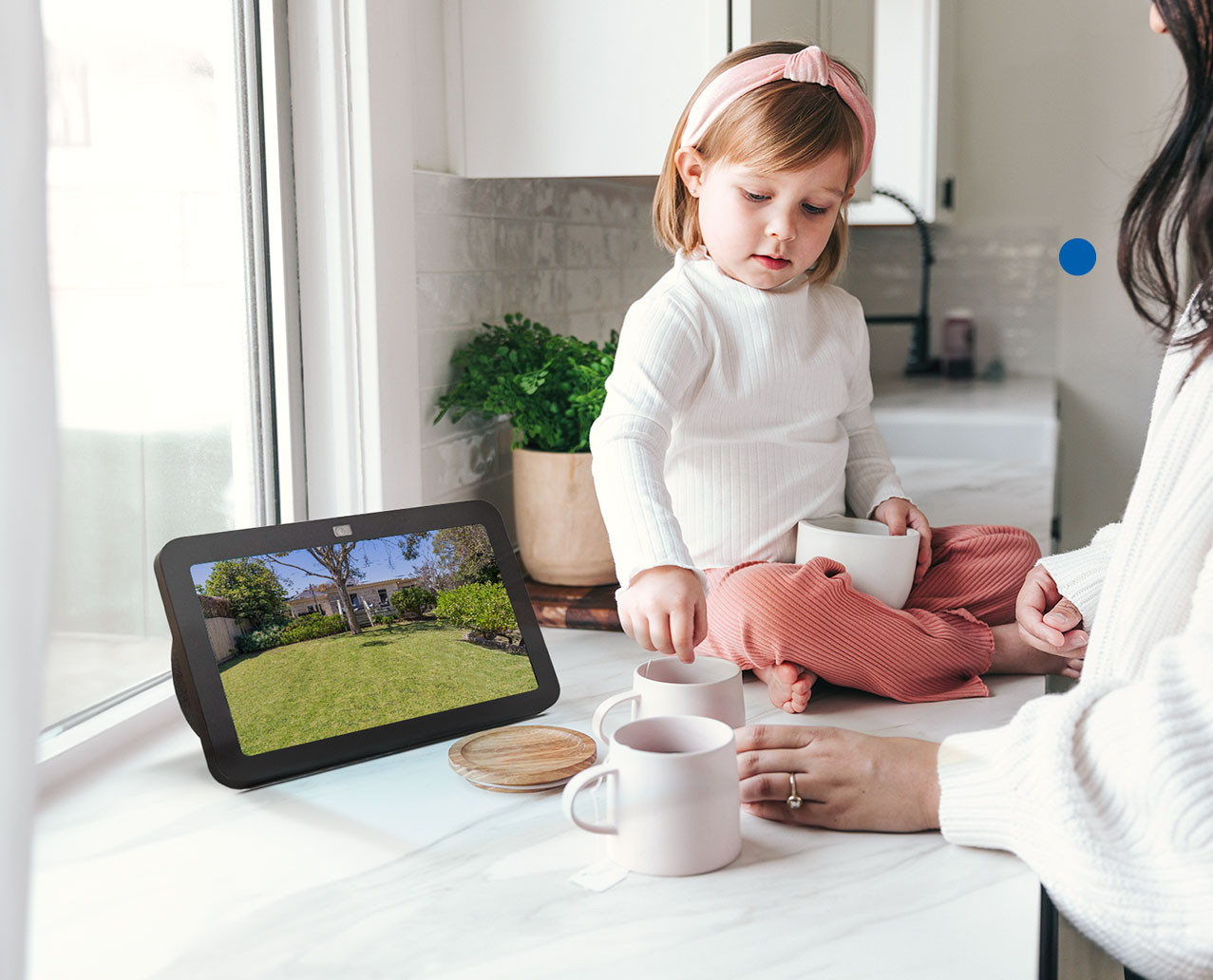 Voice-Activated View