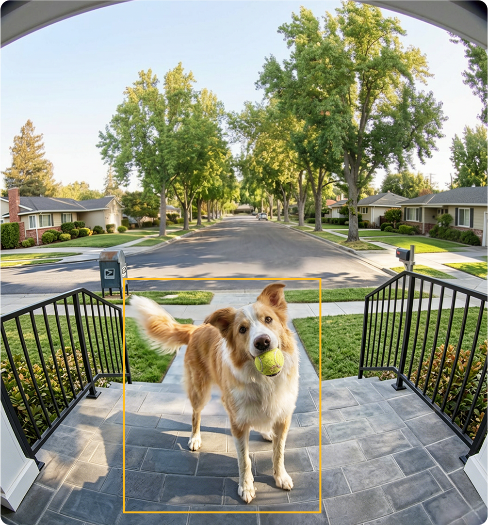 Tapo D260 detecting an animal at the door