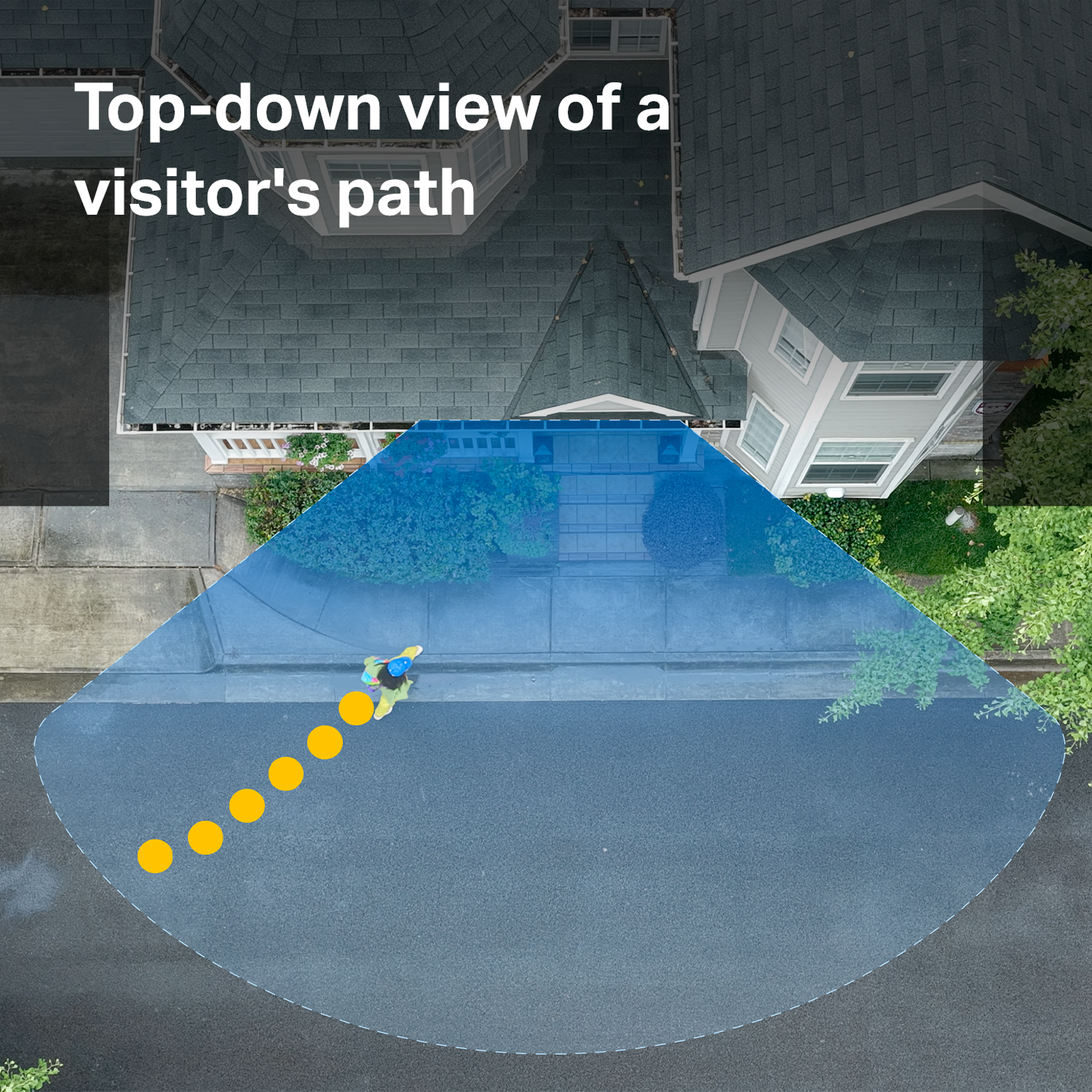 Top-Down View Visitor's Path