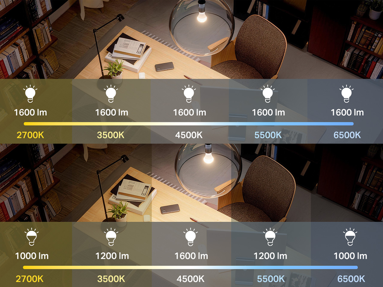Side by side comparison of Tapo L550E and a competitor light bulb