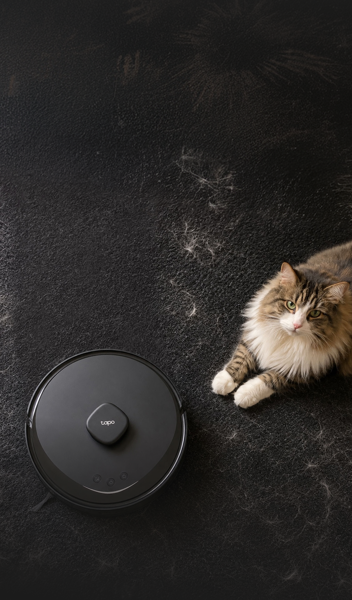 Tapo RV30 Max Plus Gen 2 robot vacuum beside a long-haired cat on a dark floor