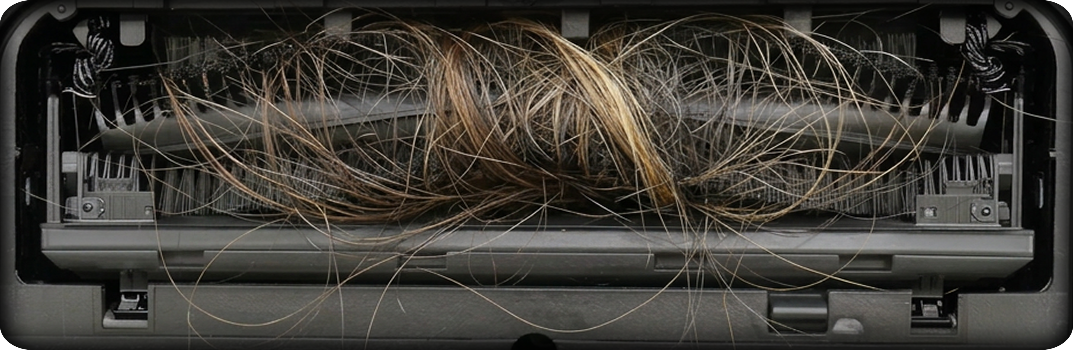 Others comb brush