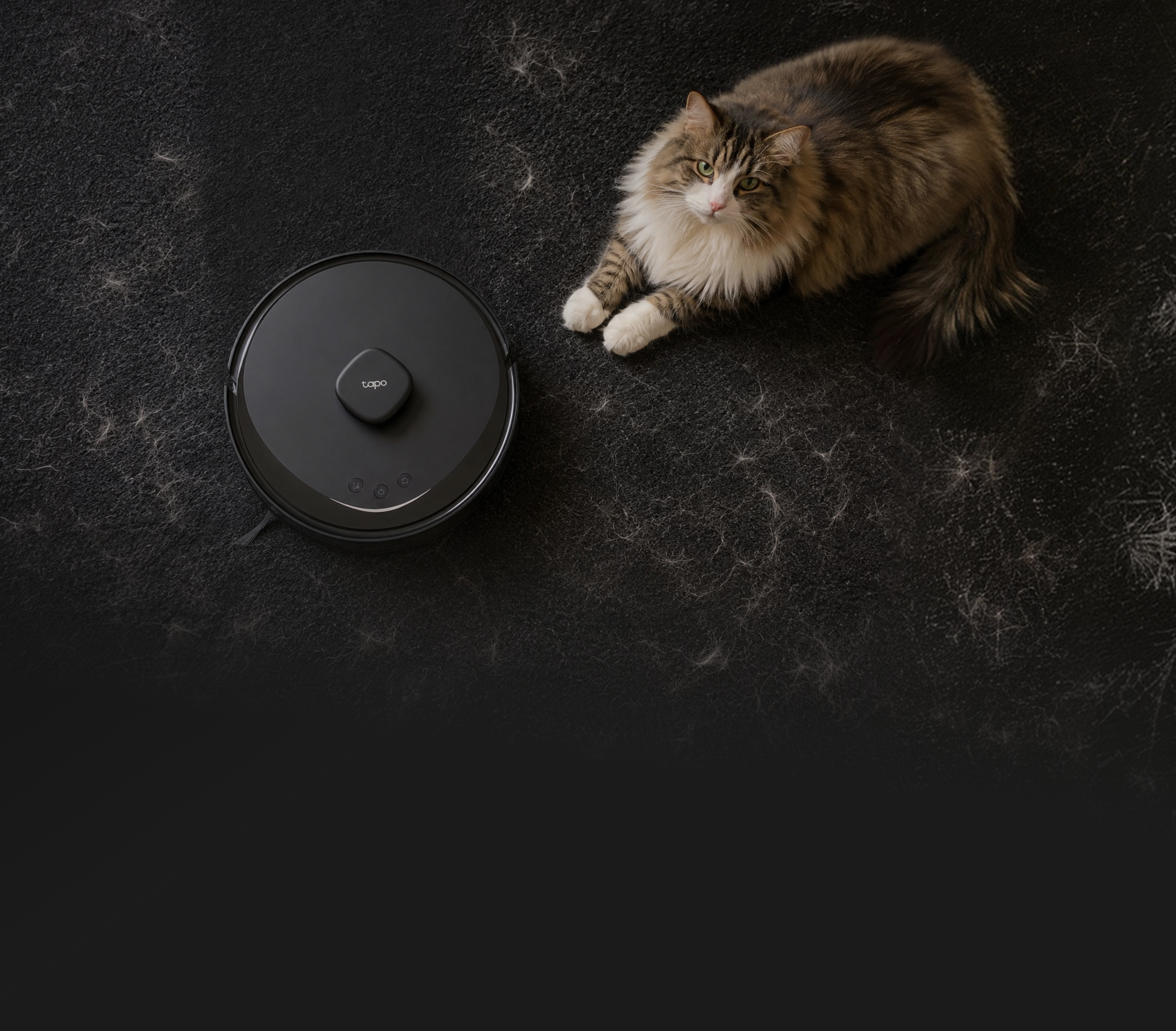 Tapo RV30 Max Turbo robot vacuum beside a long-haired cat on a dark floor