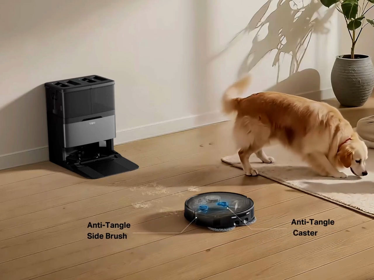 先行予約40%OFF☆6/14迄】Tapo 全自動All-in-One ロボット掃除機 毛