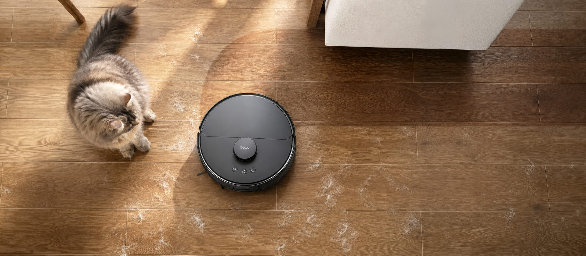 Cat watching a Tapo robot vacuum clean a wood floor