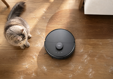 Cat watching a Tapo robot vacuum clean a wood floor