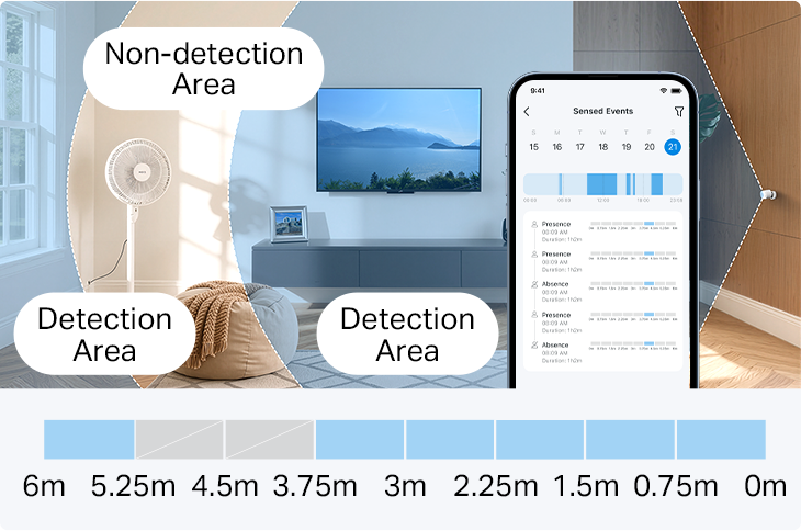 Detection Zones