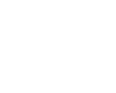 Car icon