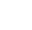 Home icon