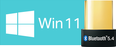 Win 11