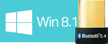 Win 8.1