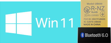 Win 11